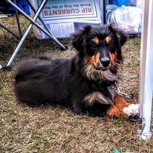 Meet your Posher, Marygrace